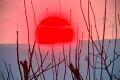 Sonnenuntergang am 21.03.26 &uuml;ber R&uuml;desheim von Ingelheim am Rhein gesehen